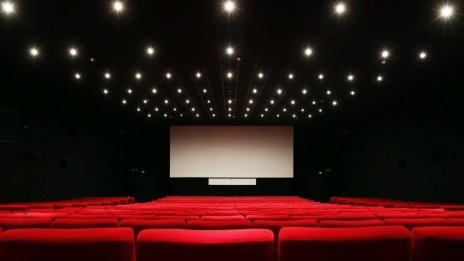 132 заглавия са част от Международния фестивал за късометражни филми "В Двореца"