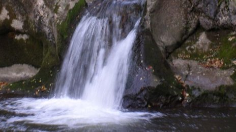 Жителите на Трън гласуват на местен референдум за златодобива