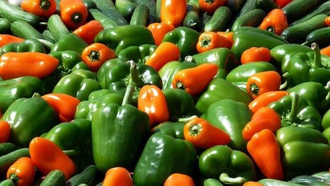 Възможно ли е обратно начисляване на ДДС за българските зеленчукопроизводители?