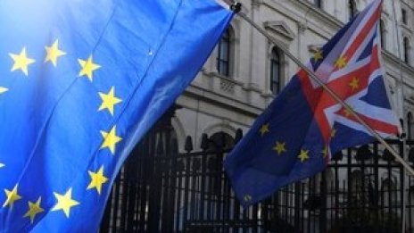 Brexit без сделка ще засегне ТИР-ове, авиокомпании и домашни любимци