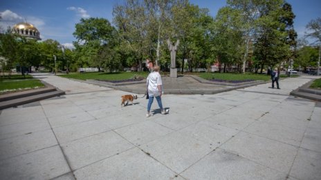 Кадър на деня за 3 май