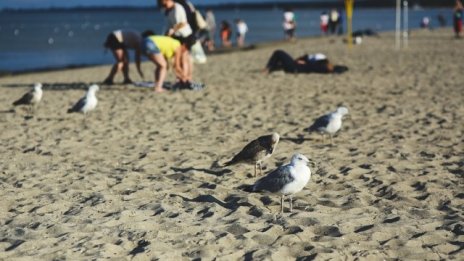 Румънските туристи са изхарчили около 1 млрд. евро в България през 2015 г.