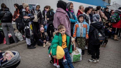 Украинските бежанци търсят предимно сезонна заетост у нас