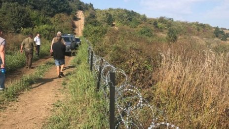 Предприети са мерки срещу африканската чума по свинете в Силистренско