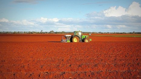 Цените на стоките в селското стопанство се свиват с 1,7% за една година