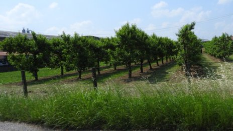 "Адванс Терафонд" с рекорден дивидент, разпределя 99,72% от печалбата