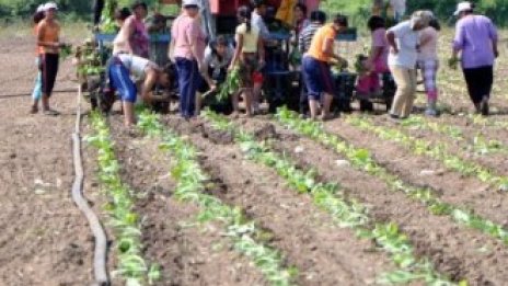 Фермери искат преференциални цени на горивата заради поскъпването на петрола