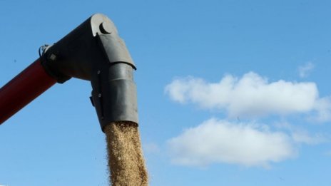 НАП денонощно контролира износа на зърно