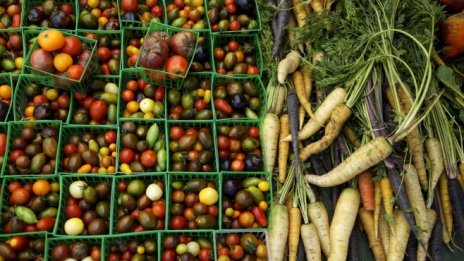 Цените на храните на едро се повишиха с над 1% в предколедната седмица