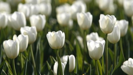 474 проекта за чиста околна среда получават финансиране