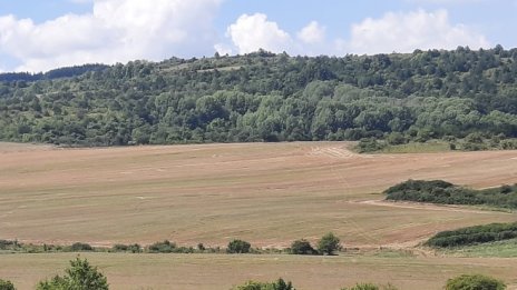 "Елана Агрокредит" записа рекордна стойност на финансираните сделки през ноември