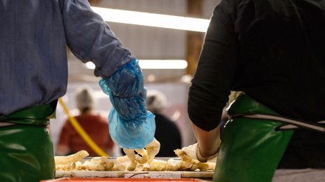 Безработицата в еврозоната е намаляла до 6,4% през април