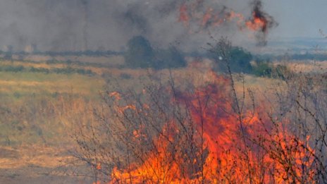 51 хил. декара гори са засегнати от пожарите в страната до момента
