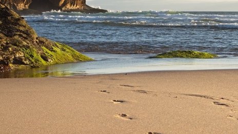 Отчетен е ръст от 34% на туристите от пазарите на туроператора Thomas Cook