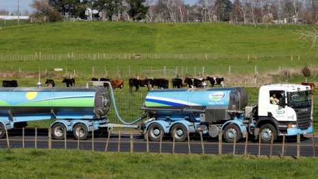 Изкупната цена на млякото в Германия – под 20 цента за литър