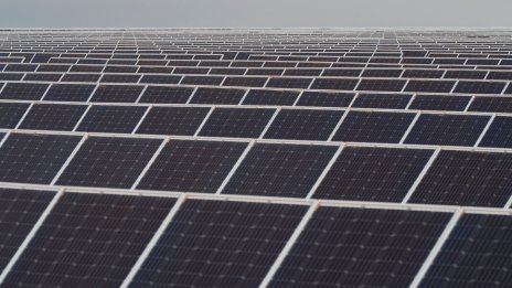 Зелените цели на големите корпорации често се оказват само зелени претенции 