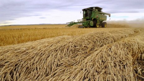 Търговията със селскостопански стоки на ЕС достига 347 млрд. евро през 2021 г.