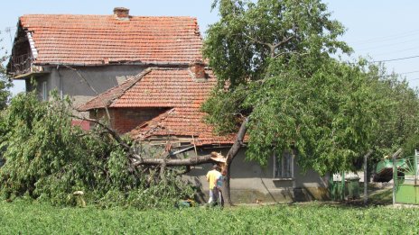 Застрахователното проникване в България остава много ниско, доминира автомобилното
