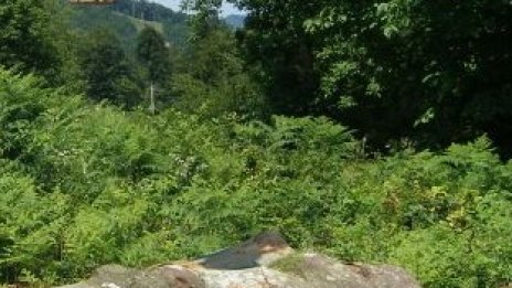 Мебелният бранш обмисля сигнал до ЕК заради манипулации с борсовата търговия