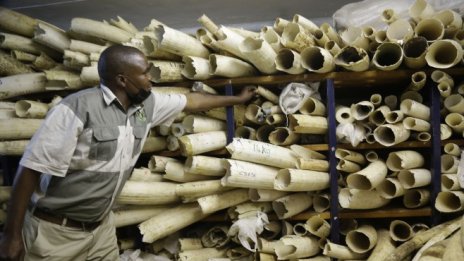 Кадър на деня за 16 май 