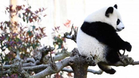 Кадър на деня за 1 май