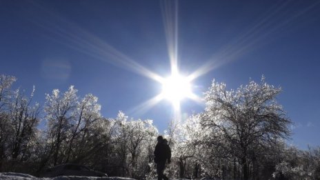 Заменки на гори ще се правят по нови правила за оценка на имотите