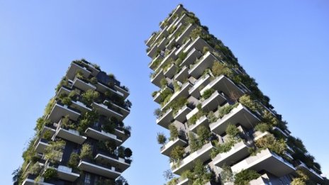 "Вертикалната гора" на Милано намира пазар от Китай до Холандия