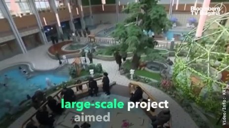 Нов зимен курорт в Северна Корея посреща гости