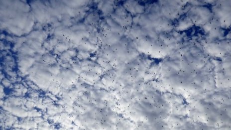 Швейцария се свързва със схемата на ЕС за търговия с вредни емисии от 1 януари