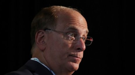 Шефът на Blackrock: Капитализмът стигна твърде далече