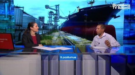 Експерт прогнозира рекордна реколта на пшеницата тази година