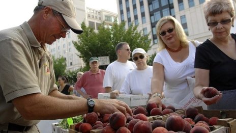 Руското ембарго засяга доходите на 9,5 млн. души в ЕС