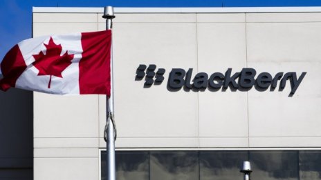 В Blackberry цари отчаянието