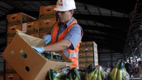 Dole пред придобиване от шефа си