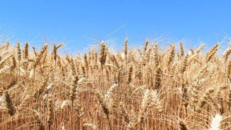 Земеделци искат удължаване на кампанията за директни плащания до края на май