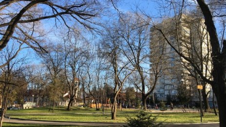 Ще се превърне ли София в зелен град с повече пешеходни зони и велоалеи?