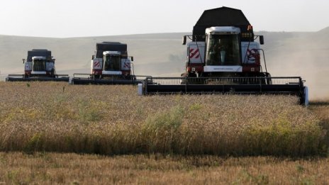 Износът на зърно от България ще има значителен принос и в следващите години