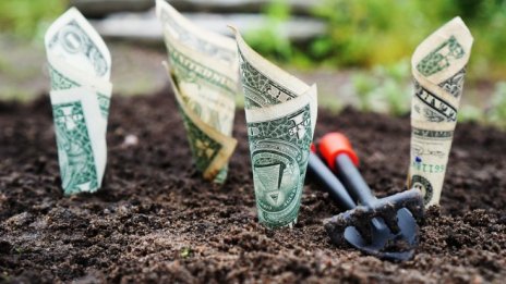 Тихомир Безлов: Сагата с офшорните сметки на политиците е предизборна акция 