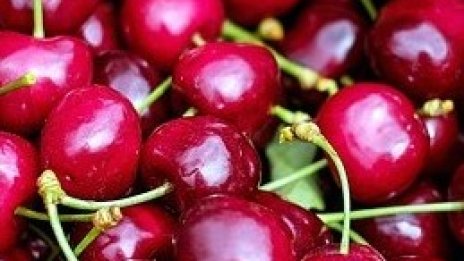 Плодовете и зеленчуците на едро поевтиняват 