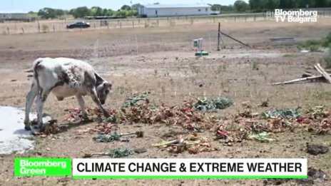 Да очакваме ли летата да продължат да стават все по-горещи? - Част 1