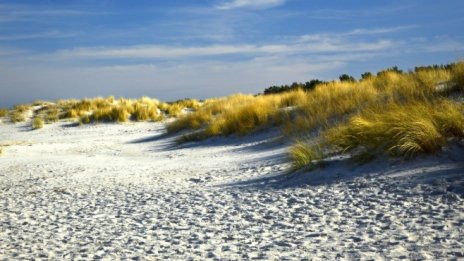 Правителството открива процедура за концесия на плаж „Кабакум - Север 2"