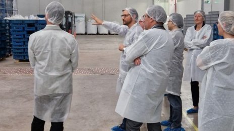 Nasekomo привлече 8 млн. евро за роботизиране на биоконверсията на насекоми