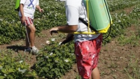 Само през тази година са одобрени 434 млн. евро субсидии за селските райони