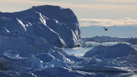 Ледена Арктика - гореща точка на военни амбиции, икономически интереси и климатични промени