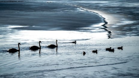 Кадър на деня за 22 февруари