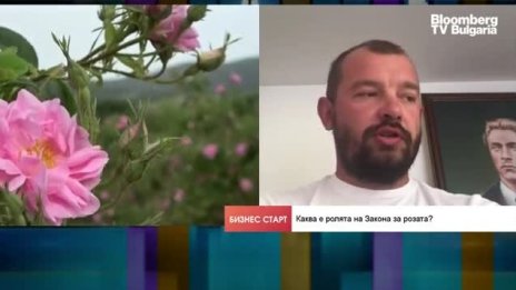 Производители: Розовата индустрия е в шок, който може да продължи и догодина