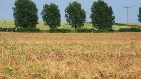 Брокери очакват цената на земята в Добричко да се задържи до пролетта