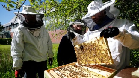 IPO-то на "Истински мед" ще се състои на 14 юли