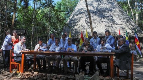 Страните от Амазония с пакт за защита на тропическата гора