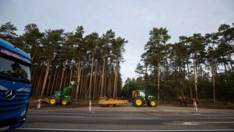 Съд даде зелена светлина на Tesla да изсече гората на терена за завода до Берлин